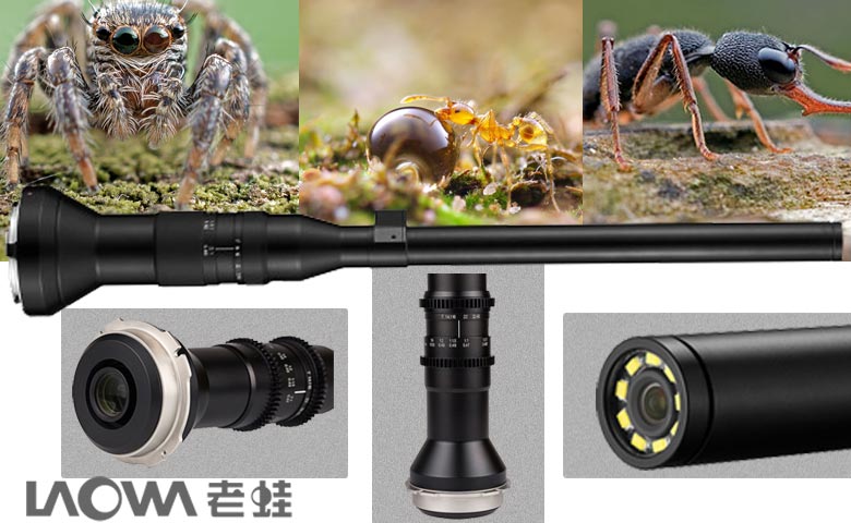 Laowa 24mm F/14 2X Macro Probe Lens Per Nikon F - Obiettivo Macro Grandangolare Con Anello LED E Impermeabile