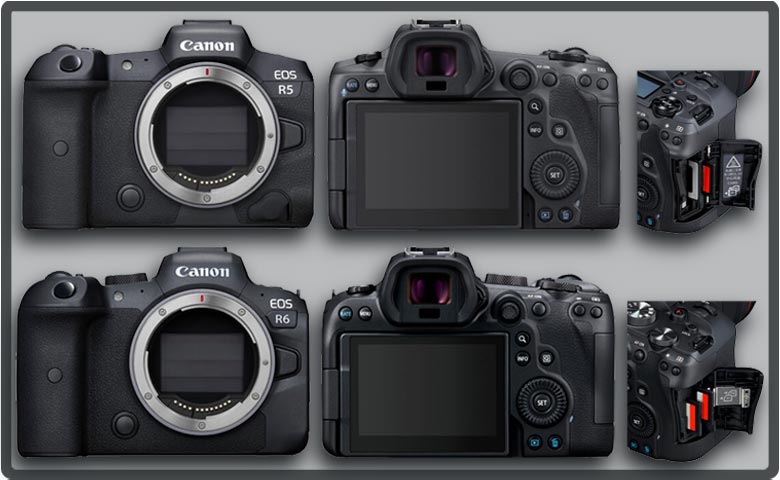 EOS R5 e R6 , as revolucionárias da Canon